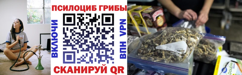 мега зеркало  Ялуторовск  Галлюциногенные грибы Psilocybe 